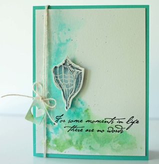 A Muse Studio Seashells Remind Us
