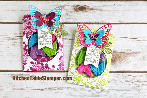 Butterfly Basics Treat Bag