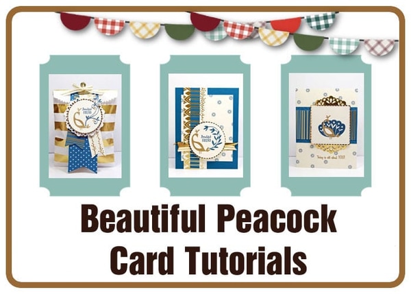Beautiful Peacock Tutorials