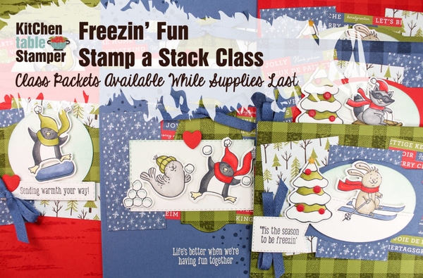 Freezin' Fun Stamp a Stack Class Packet