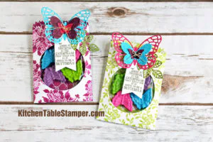 Butterfly Basics Treat Bag