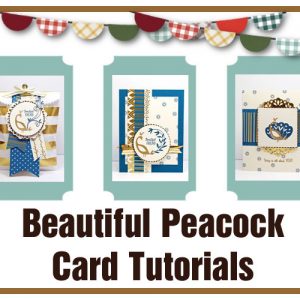 Beautiful Peacock Tutorials