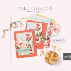 January - June 2021 Catalog and SAB Brochure